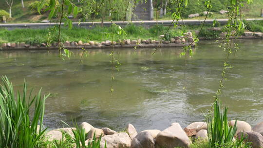 生态古风木栈道溪流绿色花草