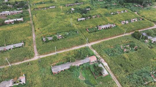 辽阳唐户屯历史街区航拍人文风景