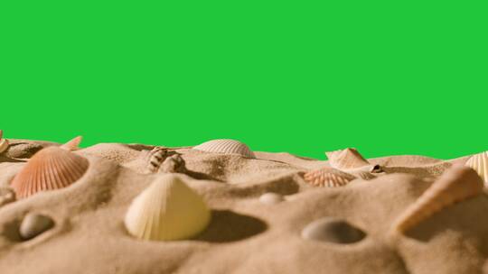 绿幕背景前的贝壳海星