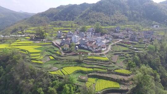 衢州市衢江区东平村