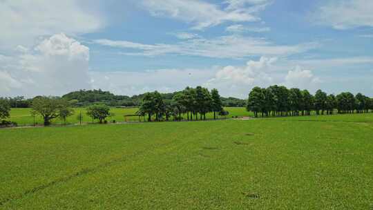 中山崖口村