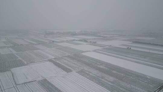 乡村雪景航拍风光