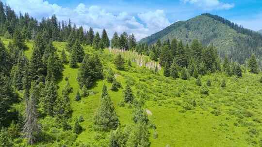 翻越高山看见山谷河流