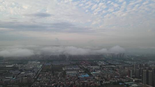 城市雨后平流雾