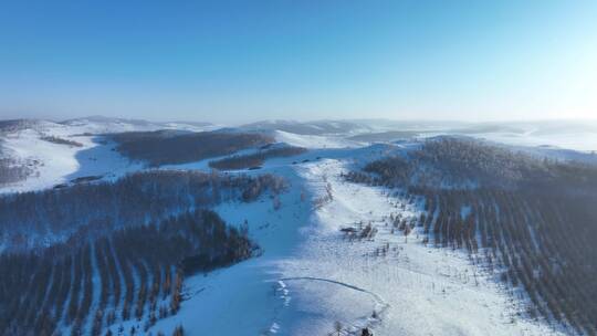 大兴安岭冬天雪原山峦起伏雾凇风景