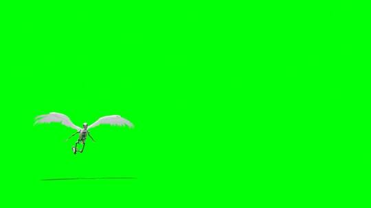 绿幕-动物-飞翔骷髅