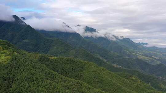 陇南大山植被繁茂云雾缭绕航拍