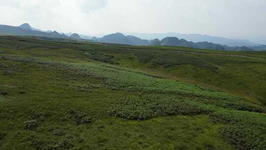 贵州山川阿西里西草原白云蓝天