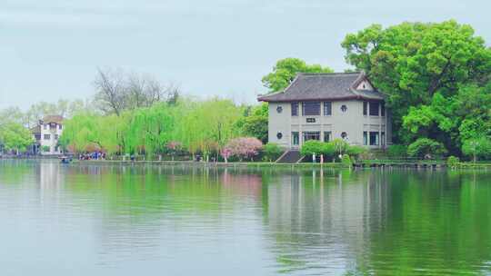 杭州西湖春天风景