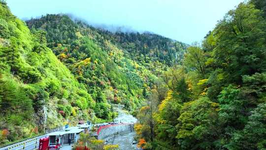 山林间的公路及周边多彩树木景色