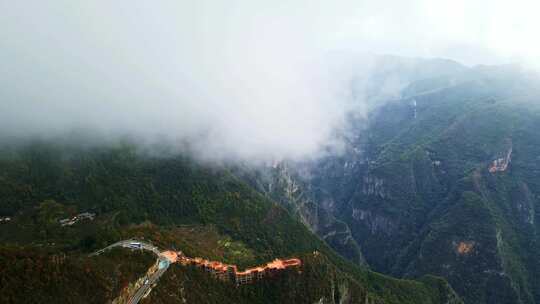 三峡红叶