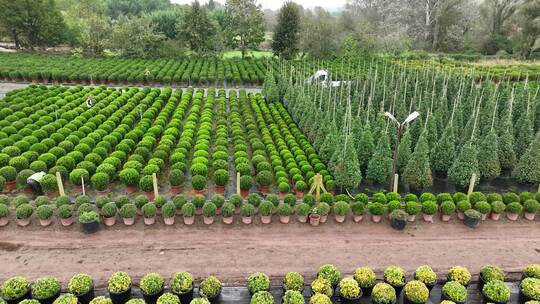 花卉绿植种植基地