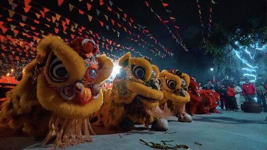 4K粤西传统文化年例舞狮烟花