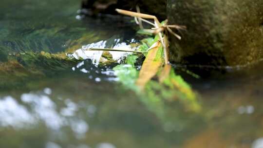 农村小溪岩石缝隙流水升格特写