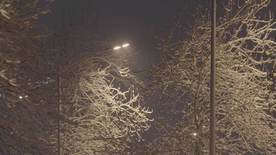 夜晚雪景空镜 冬天雪景