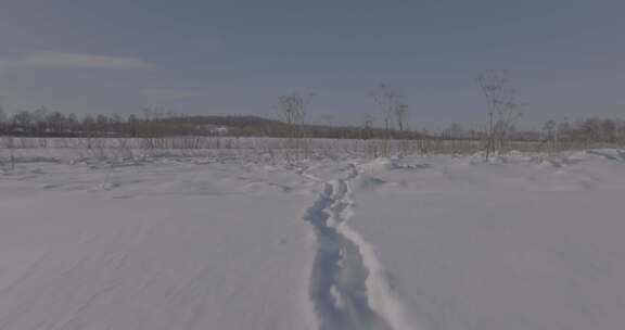 黑龙江冬季雪原风光