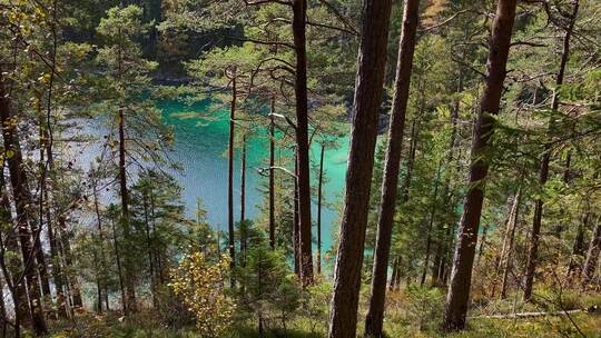 森林与美丽的Eibsee湖在巴伐利亚州后面，绿松石水，非常接近楚格河视频素材模板下载