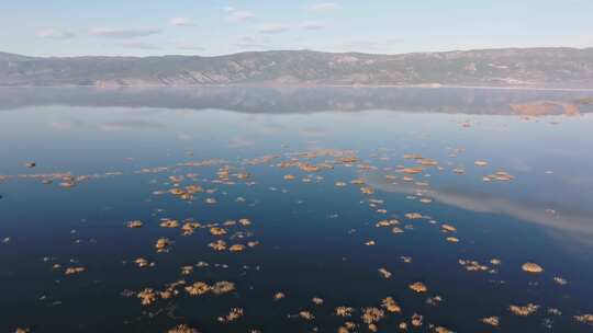 航拍自然高原湖泊