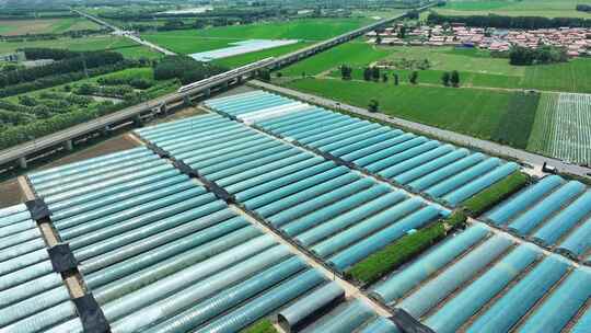 4K50新农业大棚种植示范区航拍