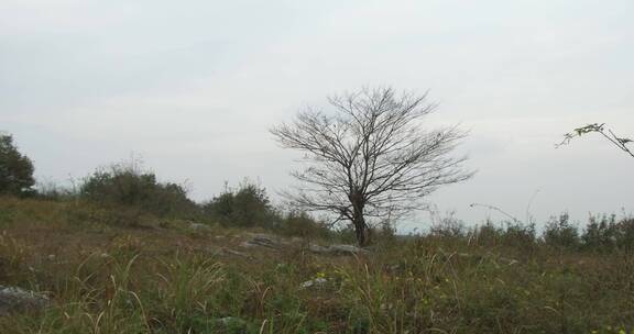 山区荒野