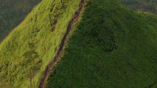 鸟瞰印度尼西亚伊纳里火山丛林。