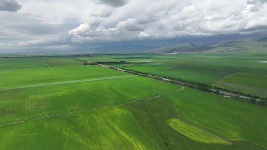 新疆伊犁昭苏农田航拍乡村田野风光