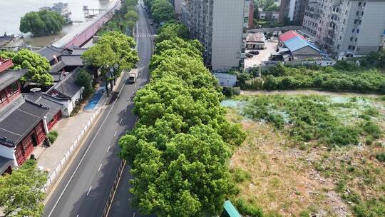 合集江西九江长江边绿化植物交通航拍