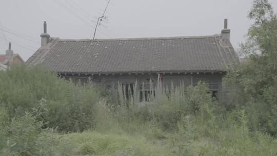 中国东北老村镇上的老房子LOG素材视频素材模板下载