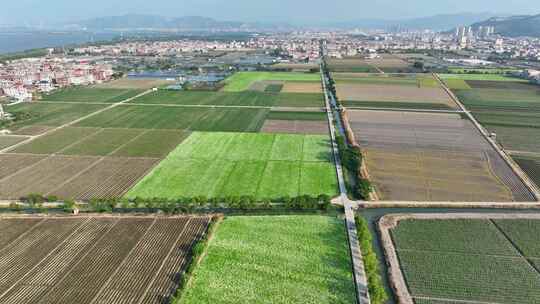 航拍福建漳州龙海闽南乡村田园风光视频素材模板下载