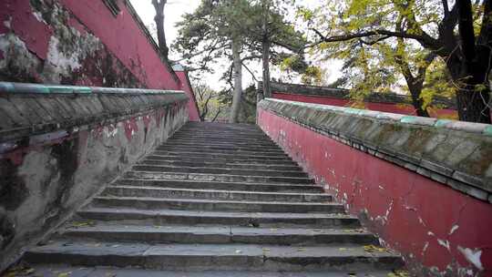 北京4a级景区戒台寺台阶视频素材