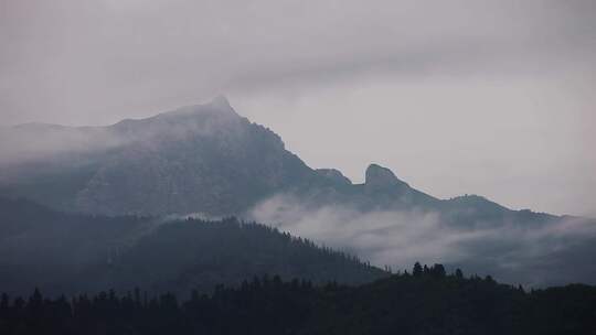 山峰森林云雾