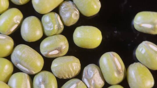 微距绿豆去暑中暑杂粮