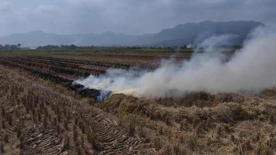 惠州万亩现代化实验农田航拍