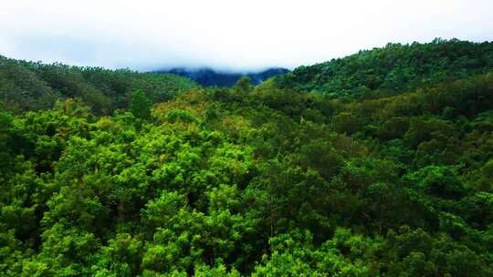 海南五指山风景航拍