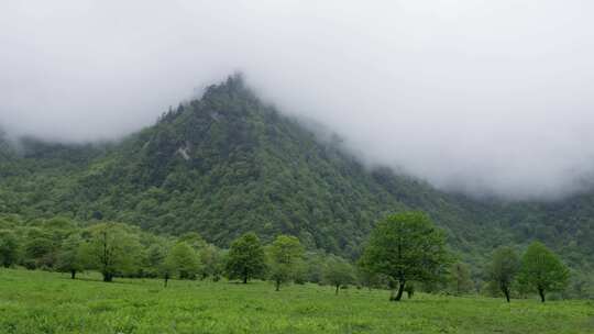 山峰云雾 山顶云雾缭绕 水雾 草地 山峦