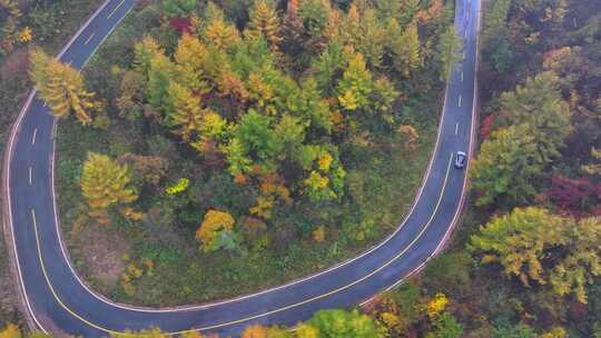 4K航拍重庆大巴山公路