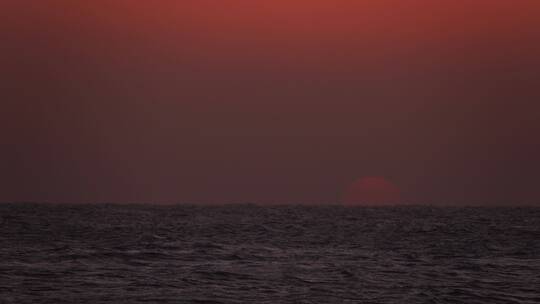 大海海面上太阳升起时一只海鸟飞过