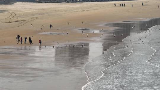 航拍俯瞰威海金海湾海水浴场的沙滩海浪视频素材模板下载