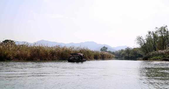 中国杭州西溪湿地摇橹船河中前行