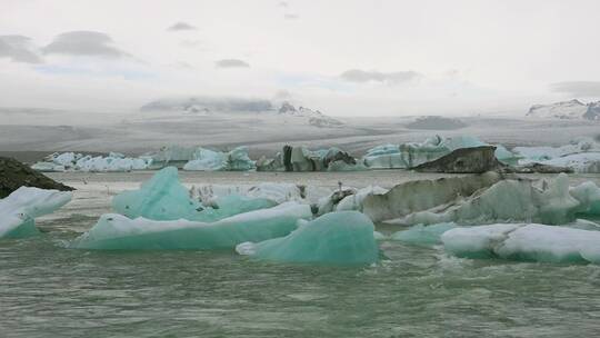 北极燕鸥鸟在冰川的河流上飞视频素材模板下载