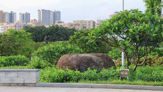 城市绿化、公园绿化、生态城市、公园景观