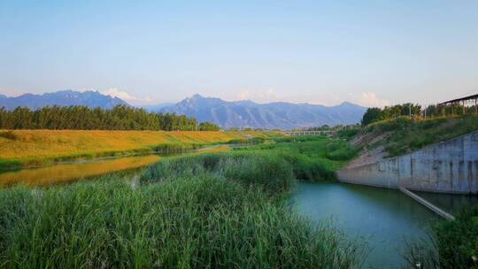 4K高清实拍渭南罗纹河湿地芦苇湖泊风景生态