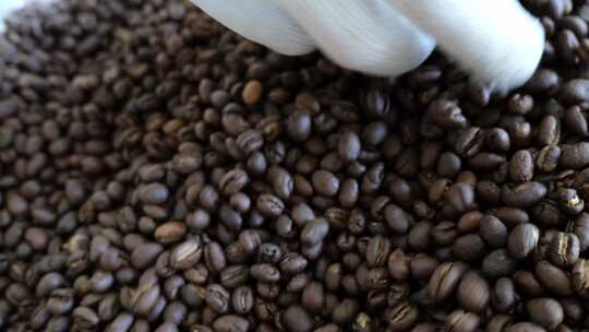 烤咖啡豆咖啡豆烘培烘培咖啡豆烘烤咖啡豆