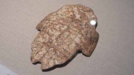 甲骨文化石