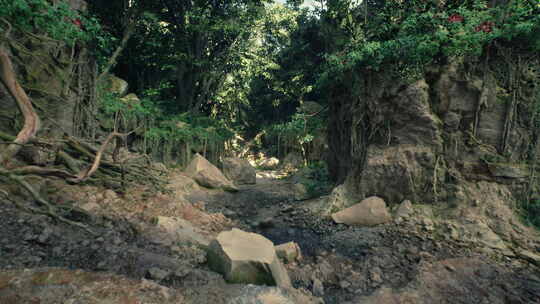 蜿蜒的土路穿过树木和岩石的森林山路