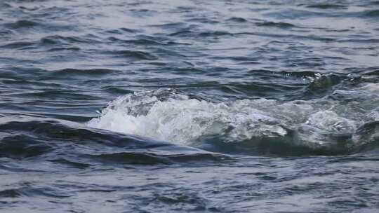 水流慢动作流水升格视频