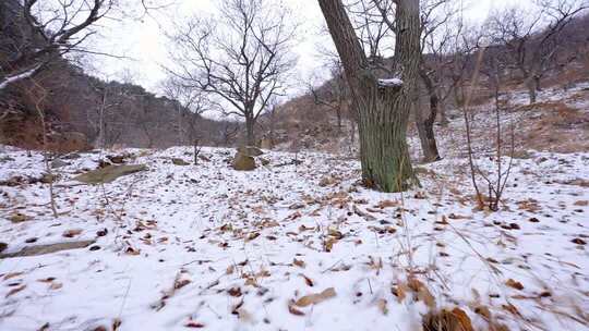 山间雪景雪地银装素裹