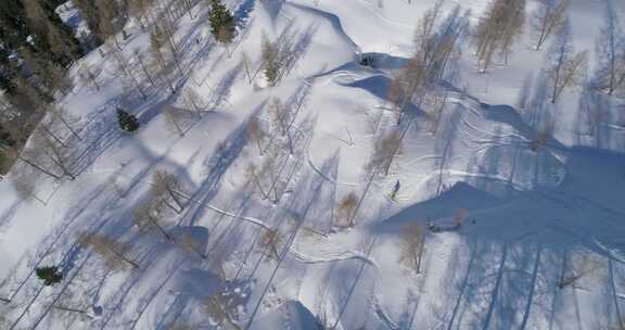 在山上用树木天线滑雪的人