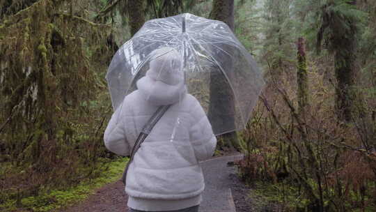 森林里穿着白色夹克带着透明雨伞的人