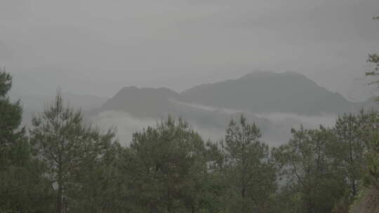 春天，信宜钱排春雨，烟雨大山乡村云雾缭绕